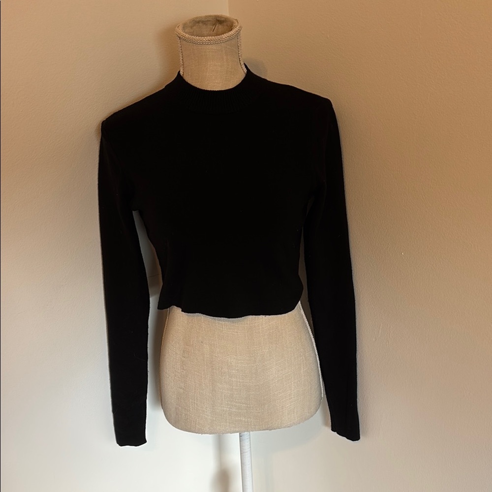 Altar’d State black cropped sweater